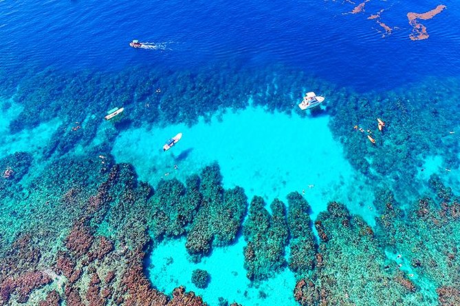 Roatan Adventure: City, Zipline, Snorkel, Beach - Tour Overview