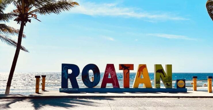 Roatan: Culture&City Tour, Atv, Monkey&Sloths Sanctuary,More - City Tour Details