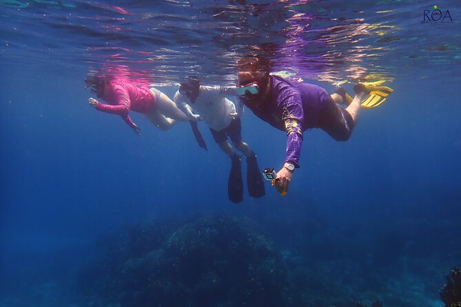 Roatan Drift Snorkel and Monkey/Sloth Sanctuary Tour - Tour Overview