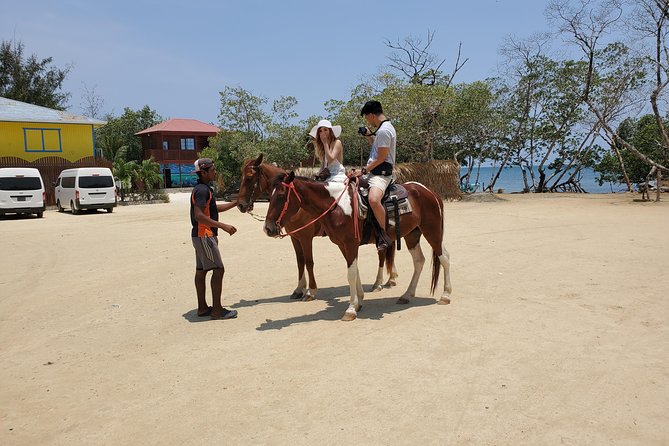 Roatan Excursion: Horseback Ride / Plus Sloth Park and Glass Bottom Boat - Traveler Experiences and Reviews