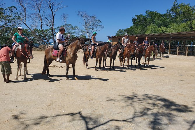 Roatan Excursion: Horseback Ride / Sloths Park / Snorkel With Beach Break - Inclusions