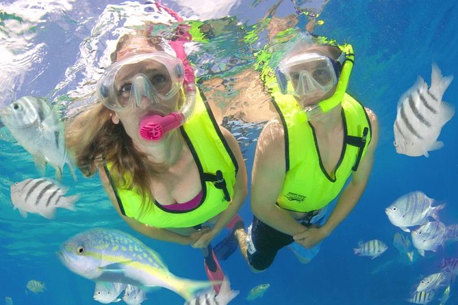 Roatan Excursion Horseback Riding / Zip Line / Sloths Hangout / Snorkel Adven.. - Good To Know