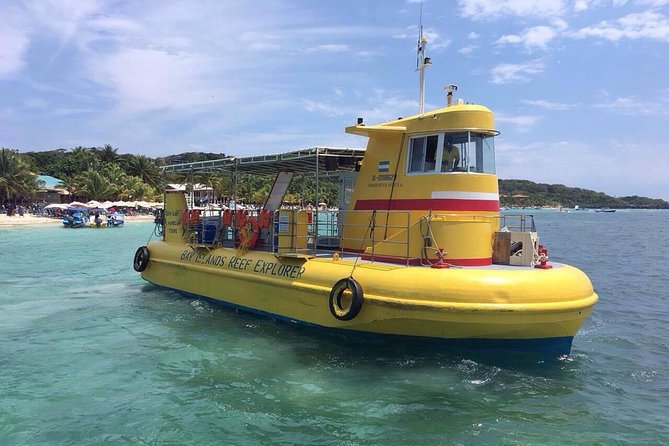 Roatan Glass Bottom Boat Tour and Beach - Tour Highlights