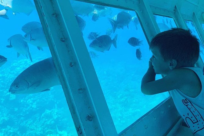 Roatan Glass Bottom Boat Tour and Beach - Beach Activities