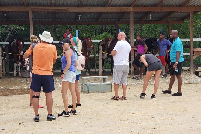Roatan Nature Combo: Mangrove Cruise, Horseback Riding & Snorkel - Reviews and Ratings Overview