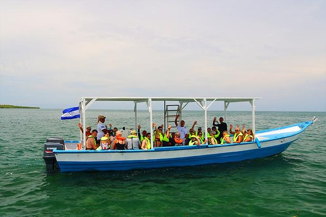 Roatan North Side Mangroves, Starfish, Shipwreck Snorkeling & Transportation - Logistics Details