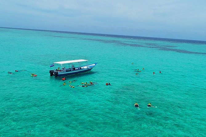 Roatan North Side Mangroves, Starfish, Shipwreck Snorkeling & Transportation - Cost and Reservations