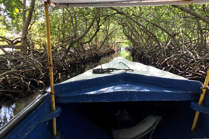 Roatan Shore Excursion: Punta Gorda Garifuna History and Mangrove Tunnel - Tour Highlights