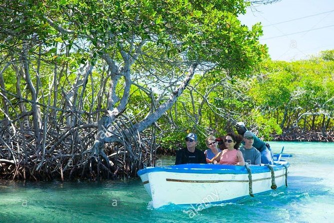 Roatan Shore Excursion: Punta Gorda Garifuna History and Mangrove Tunnel - Garifuna Culture Center Visit