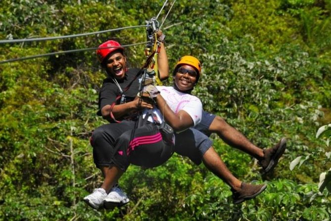 Roatan Shore Excursion: Zip N Dip Canopy Tour - Overview and Inclusions