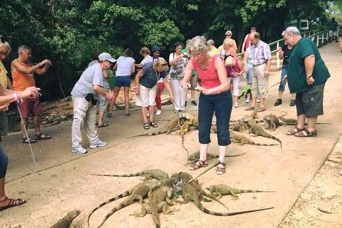 Roatan Small-Group Wildlife Experience (Feb ) - Tour Highlights