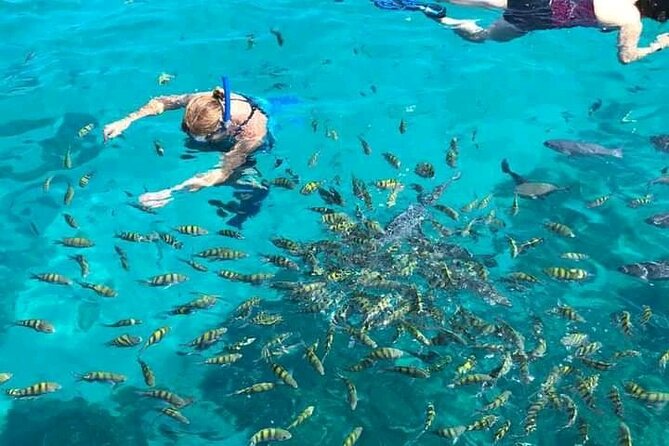 Roatan Small-Group Wildlife Experience (Feb ) - Traveler Testimonials
