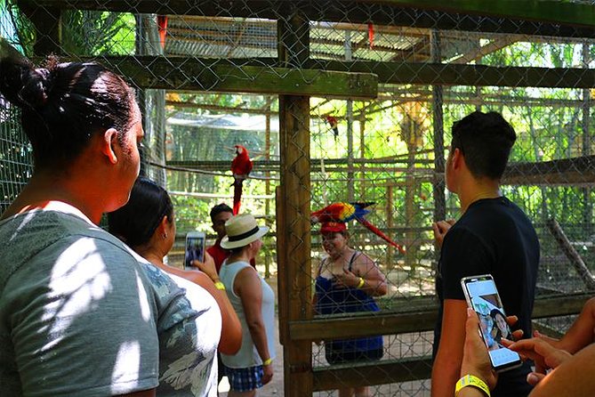 Roatan Sun & Fun Custom Private Island Tour - Pricing Information