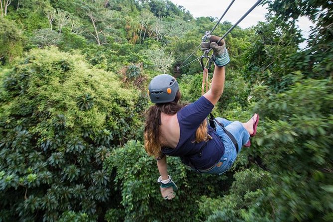Roatan Zipline and Hiking Half-Day Small-Group Adventure - Safety Precautions and Logistics