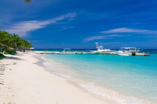 Roatan Zipline, Chocolate, and Beach Private Tour - Zipline Adventure