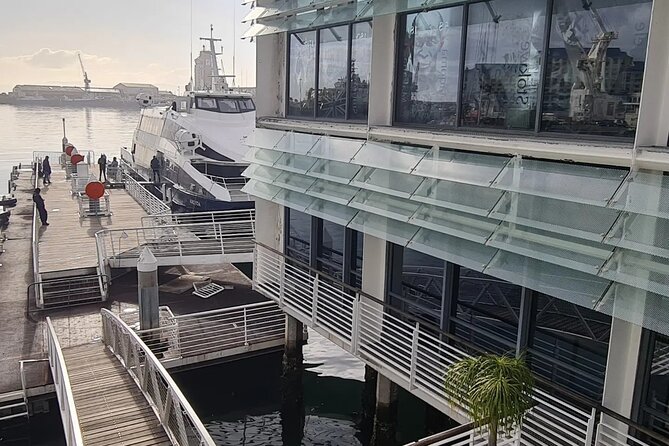 Robben Island Half Day Tour With Pre-Booked Ticket(S) - Tour Operator Suggestions