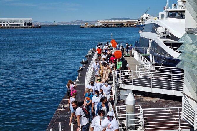Robben Island Plus Table Mountain - Pricing and Booking Details