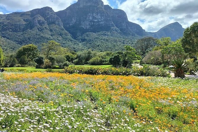 Robben Island, Table Mountain and Kirstenbosch From Cape Town - Pricing and Value for Money