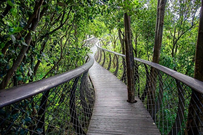 Robben Island, Table Mountain and Kirstenbosch From Cape Town - The Sum Up