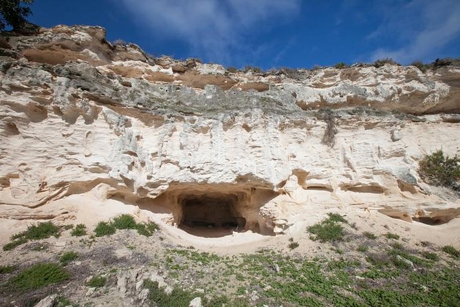 Robben Island Tour - Hotel Pick-Ups & Stops at Interesting Places Pre/Post Tour - Common Questions