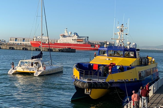 Robben Island Tour Return Transfers PLUS Famous Stops Before or After Tour - Robben Island Museum Tour Details