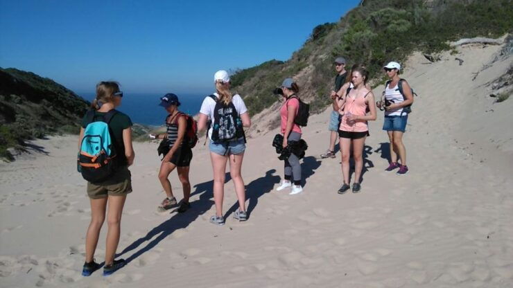 Robberg Nature Reserve Hiking Trails - Wildlife and Scenery Highlights