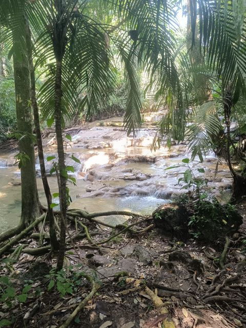 Roberto Barrios Waterfalls From Palenque - Activity Details