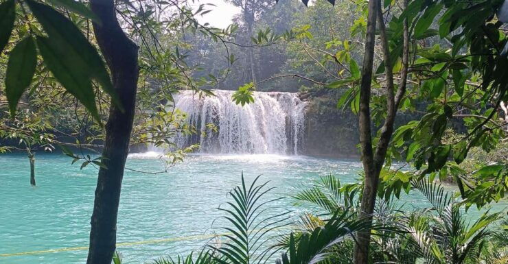 Roberto Barrios Waterfalls From Palenque - Experience Highlights