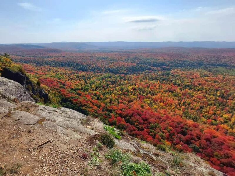 Robertson Cliffs: Where Falcons Fly Guided Hike - The Experience in Detail