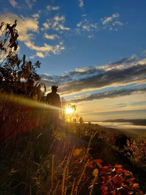 Robertson Cliffs: Where Falcons Fly Guided Hike - Who Should Consider This Tour?