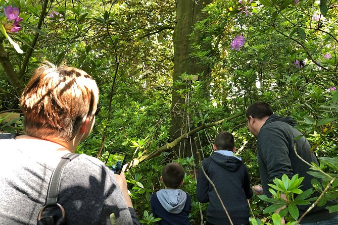Robins Adventures: Treasure Hunt, Riddles and Sports Activities - Meeting and Pickup Details