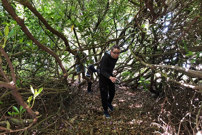 Robins Adventures: Treasure Hunt, Riddles and Sports Activities - Directions and How to Get There