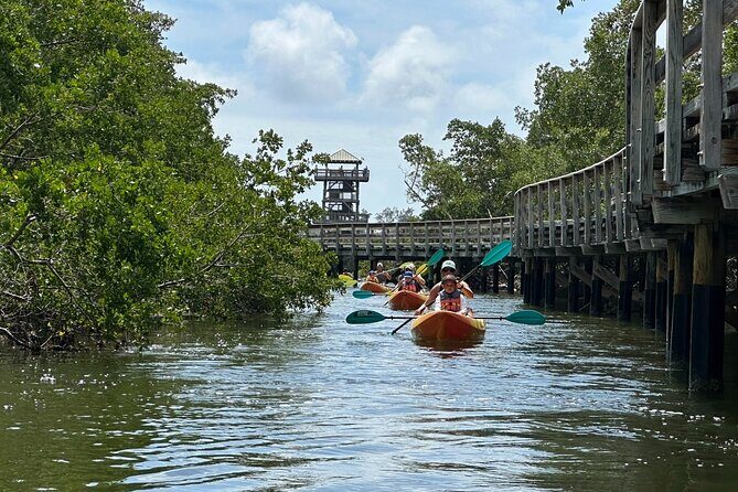 Robinson Preserve Mangrove Tour - Good To Know  
