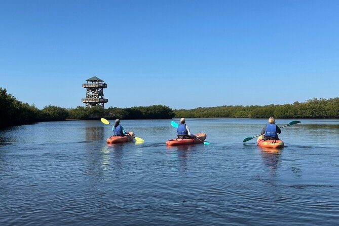 Robinson Preserve Mangrove Tour - What the Experience Really Looks Like