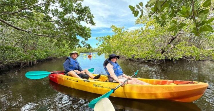 Robinson Preserve Mangrove Tour - Activity Inclusions