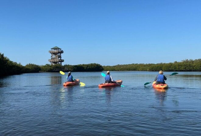 Robinson Preserve Mangrove Tour - Booking Information
