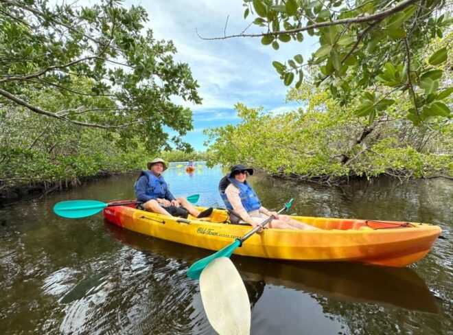 Robinson Preserve Mangrove Tour - Additional Info