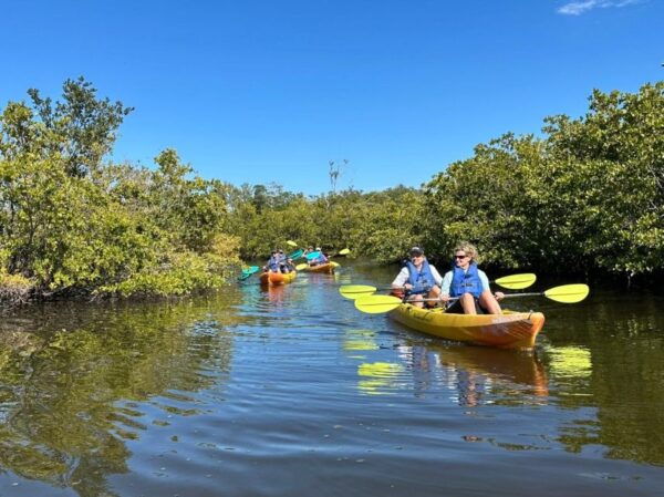 Robinson Preserve Mangrove Tour - Directions