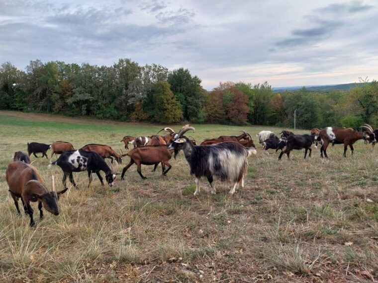 Rocamadour: Visit With a Guide - Frequently Asked Questions