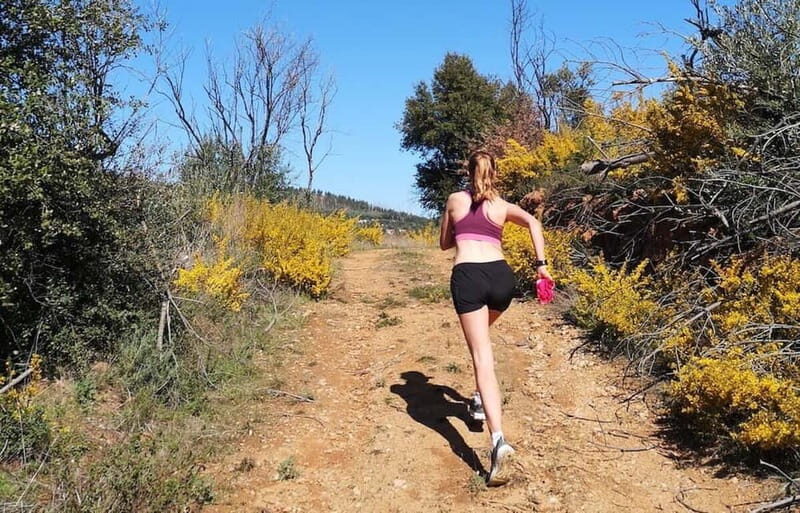 Rocha da Pena: Hiking Trail Running Algarve - Practical Details and Tips