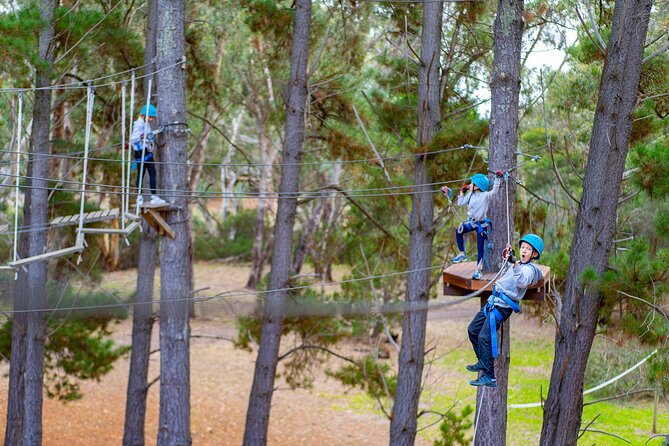 Rock Climb and Ropes Shared Experience - Whats Included