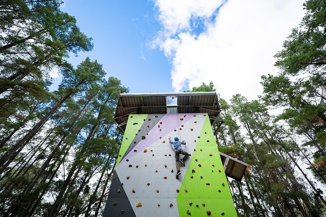 Rock Climb and Ropes Shared Experience - The Sum Up