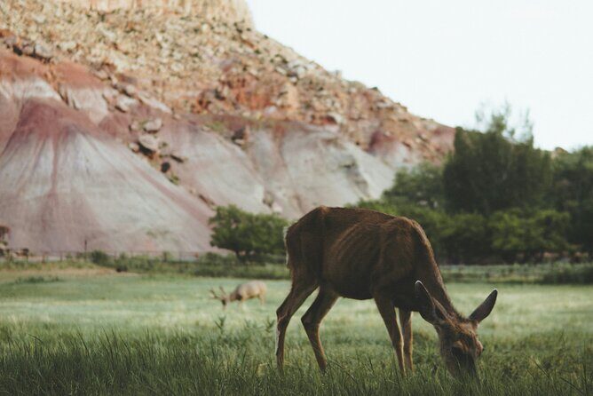 Rock Climbing Day Trip at Smith Rock State Park - The Sum Up