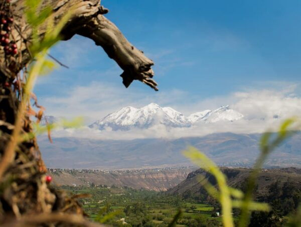 Rock Climbing in Arequipa, Peru - Frequently Asked Questions