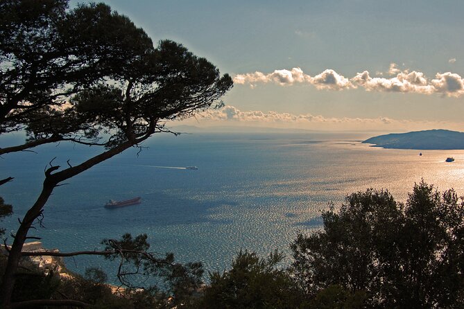 Rock Tour in Gibraltar by Bus With Tickets - Reviews