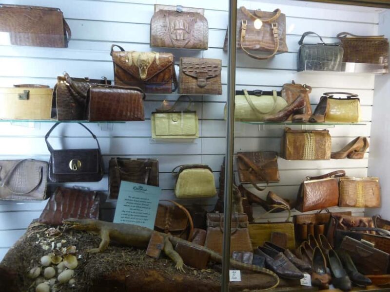 Rockhampton: Koorana Crocodile Farm Guided Tour - Good To Know  