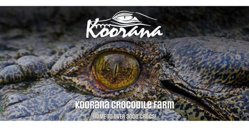 Rockhampton: Koorana Crocodile Farm Guided Tour - An Honest Look at the Koorana Crocodile Farm Guided Tour  