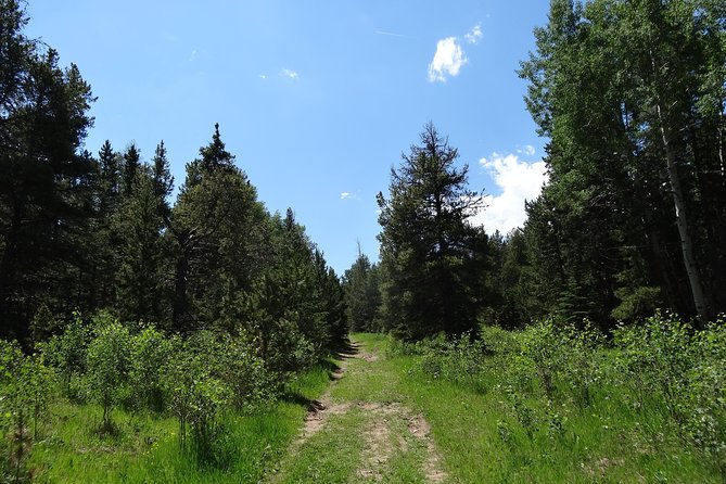 Rockies Guided Half-Day Small-Group Hike From Denver - Overview and Experience