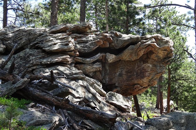 Rockies Guided Half-Day Small-Group Hike From Denver - Cancellation Policy