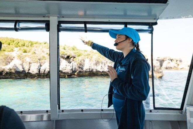 Rockingham: Shoalwater Islands Tour and Penguin Island - Full Description